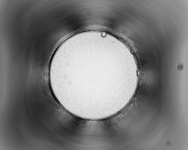 X0000103901322200810101236