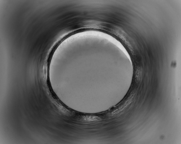 X0000103901323200810101236