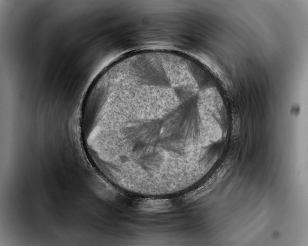 X0000103901325200810101236