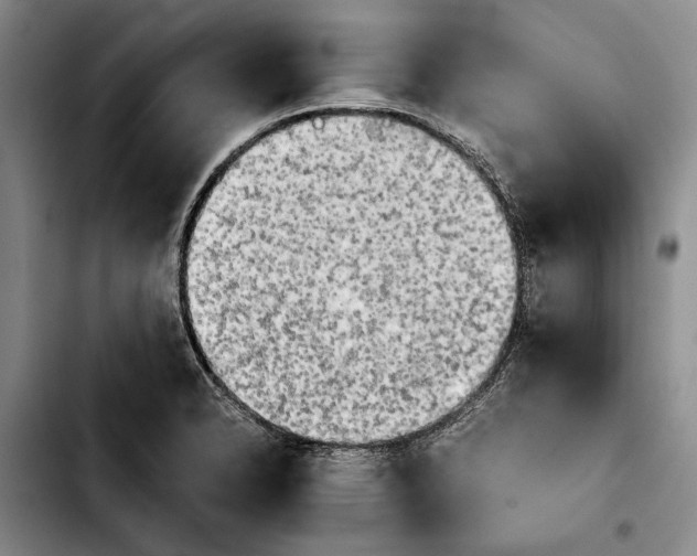 X0000103901326200810101236