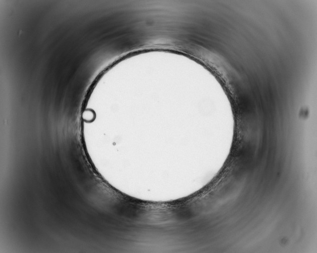 X0000103901328200810101236