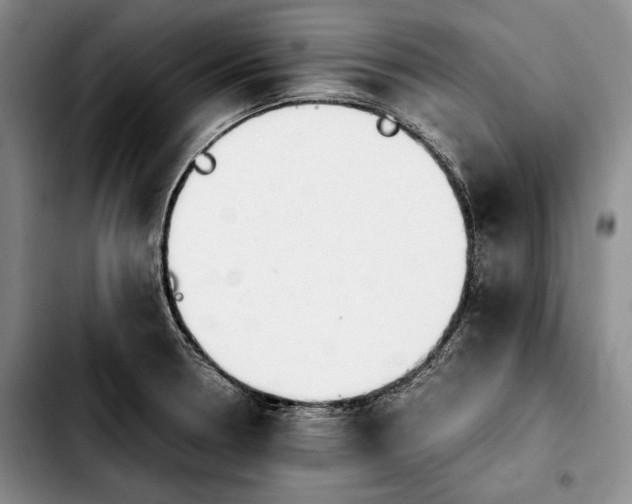 X0000103901330200810101236