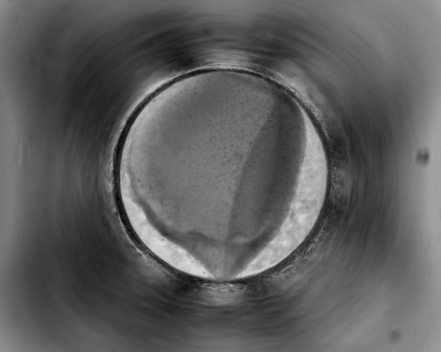 X0000103901331200810101236