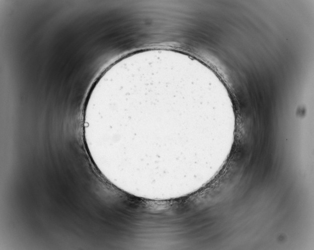 X0000103901332200810101236