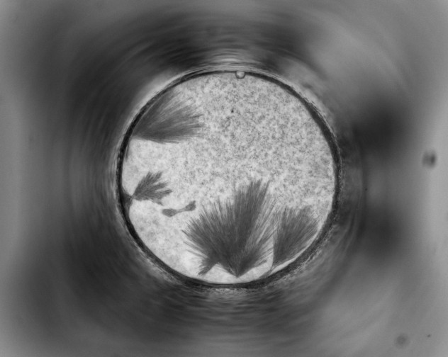 X0000103901333200810101236