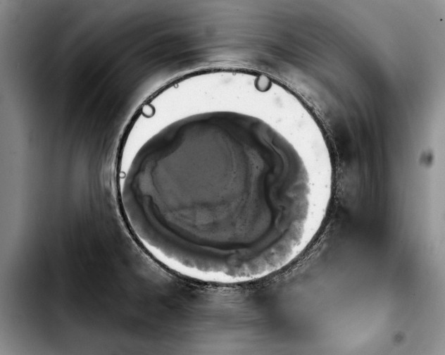 X0000103901334200810101236