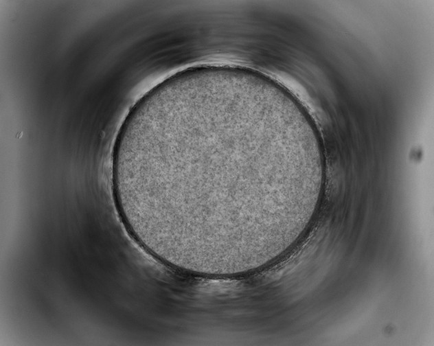 X0000103901335200810101236