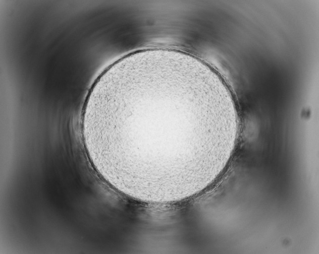 X0000103901336200810101236