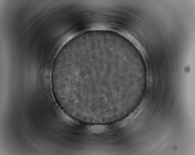 X0000103901337200810101236