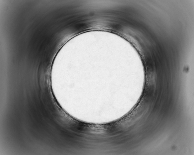 X0000103901338200810101236