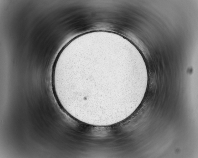 X0000103901339200810101236