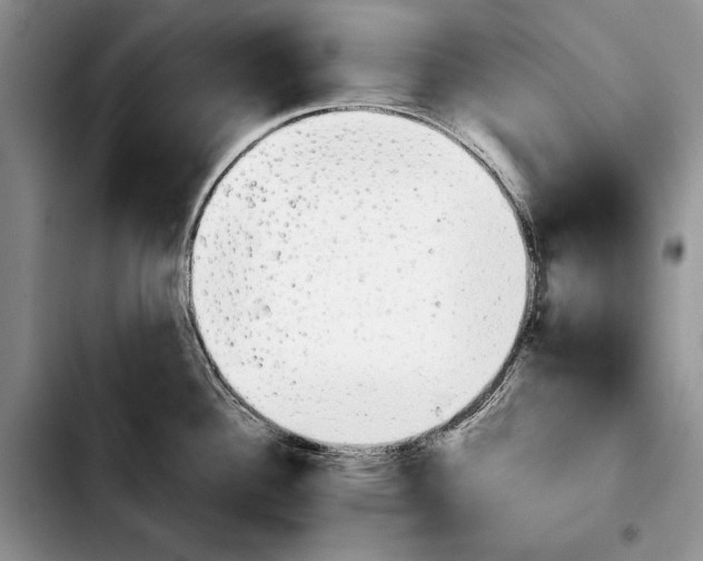 X0000103901340200810101236