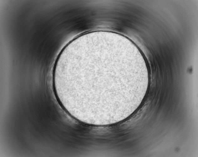 X0000103901341200810101236