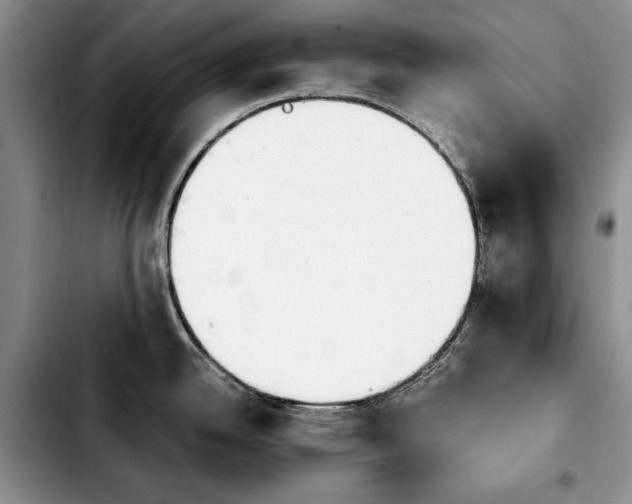 X0000103901342200810101236