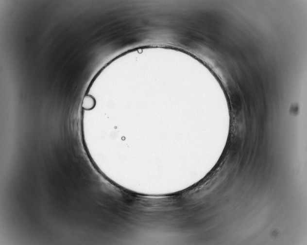 X0000103901343200810101236