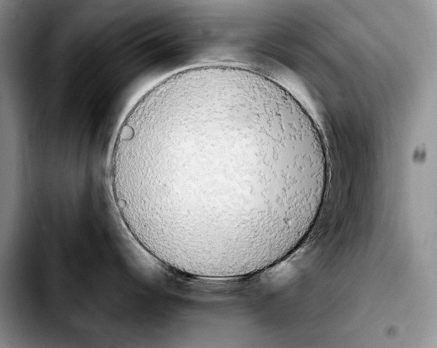 X0000103901344200810101236