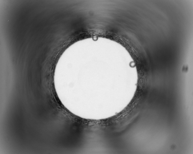 X0000103901345200810101235