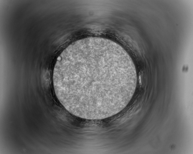 X0000103901347200810101235