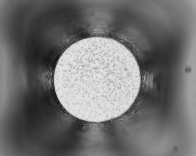 X0000103901348200810101235