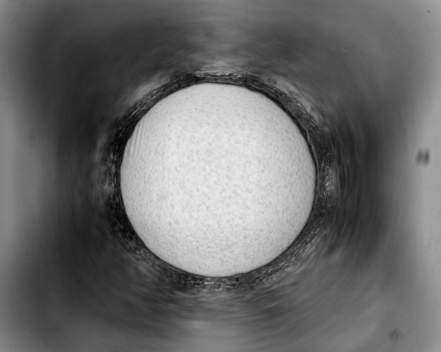 X0000103901350200810101235