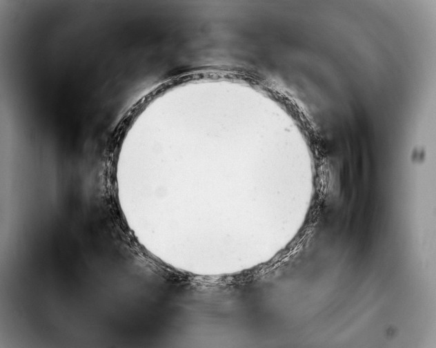 X0000103901352200810101235