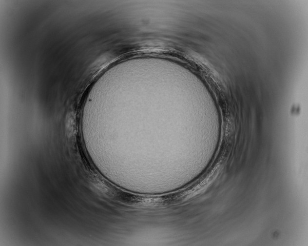 X0000103901353200810101235