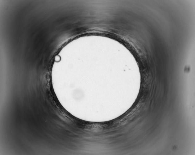 X0000103901355200810101235