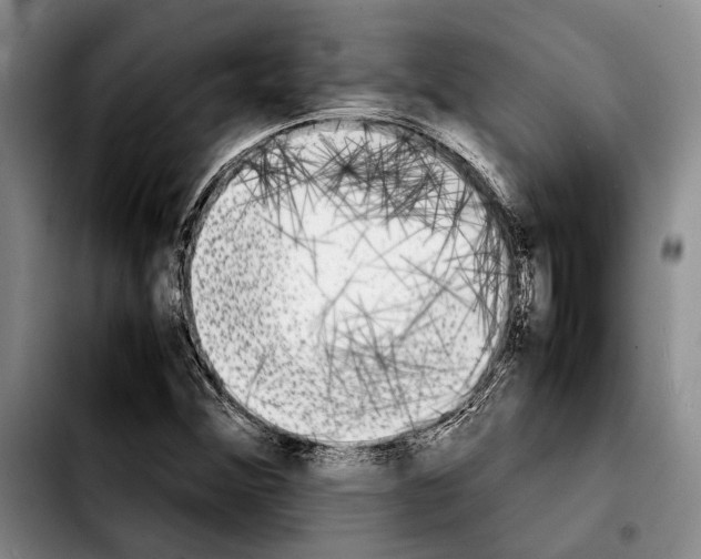 X0000103901356200810101235