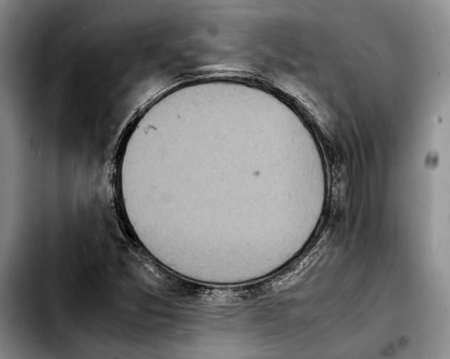 X0000103901357200810101235