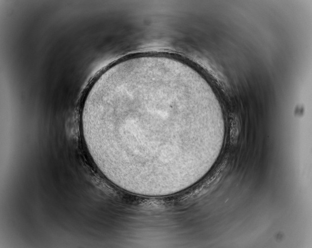 X0000103901358200810101235