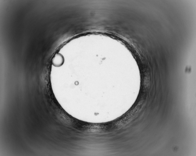 X0000103901359200810101235