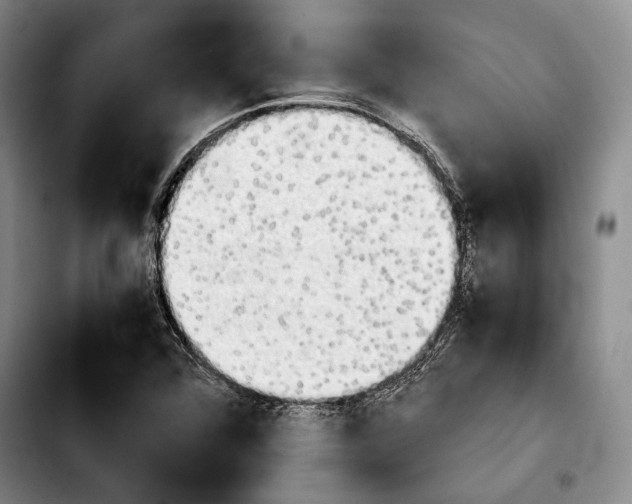 X0000103901360200810101235