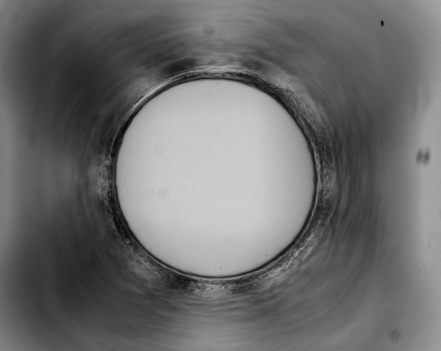 X0000103901361200810101235