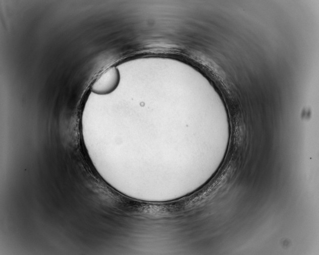 X0000103901362200810101235