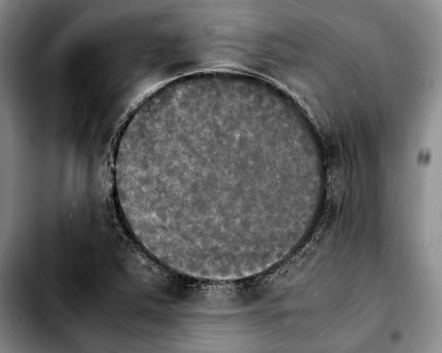 X0000103901363200810101235