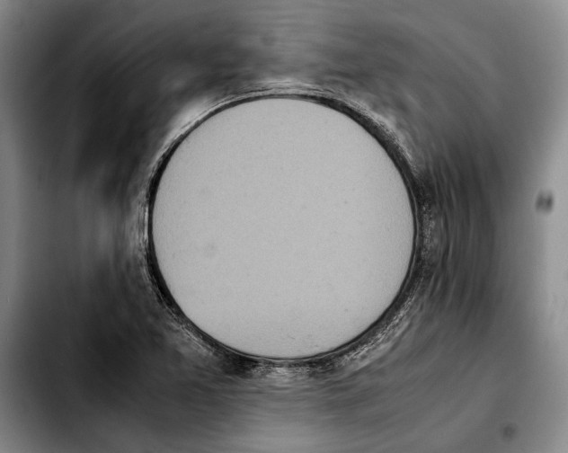 X0000103901365200810101235