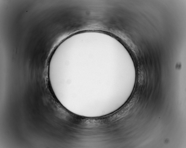 X0000103901366200810101235