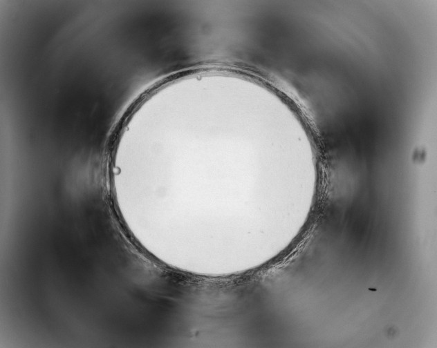 X0000103901368200810101235