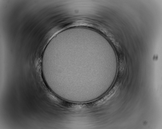 X0000103901369200810101235