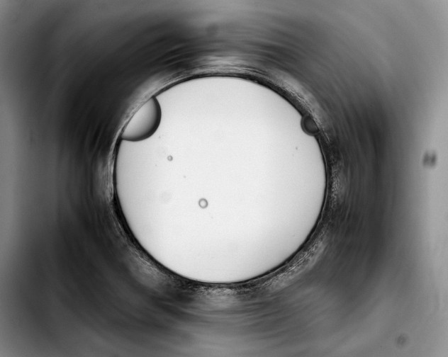 X0000103901370200810101235