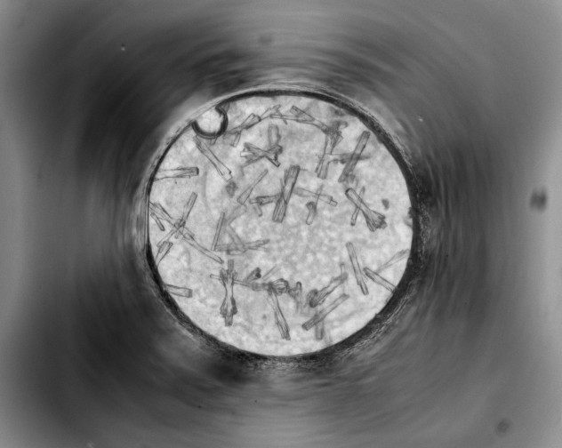 X0000103901371200810101235