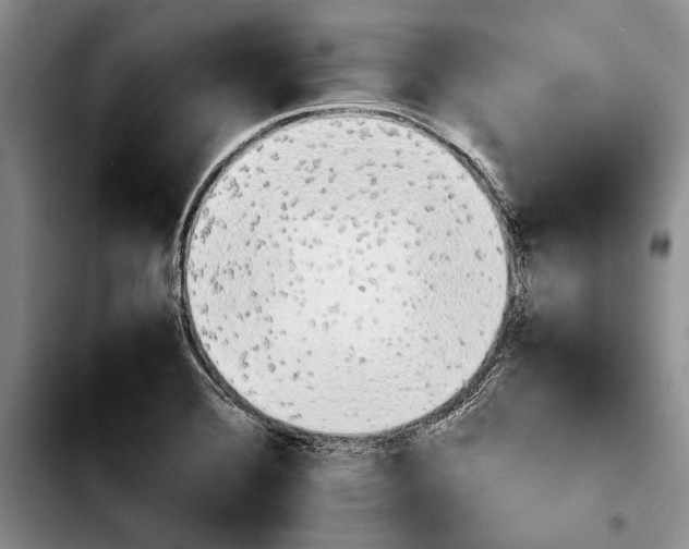 X0000103901372200810101235