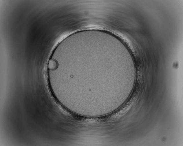 X0000103901373200810101235