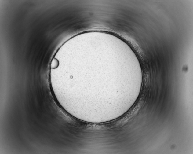 X0000103901374200810101235