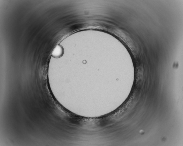 X0000103901377200810101235