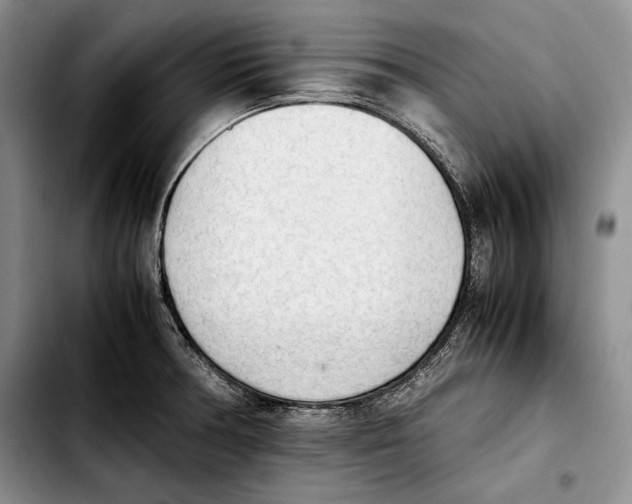 X0000103901378200810101235