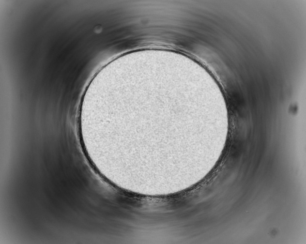 X0000103901379200810101235