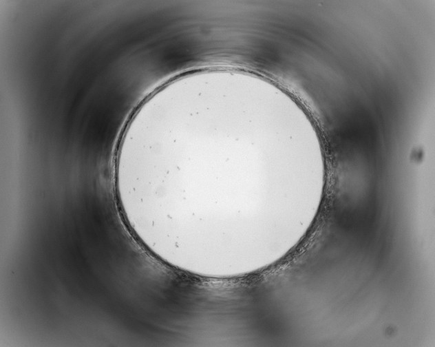 X0000103901380200810101235