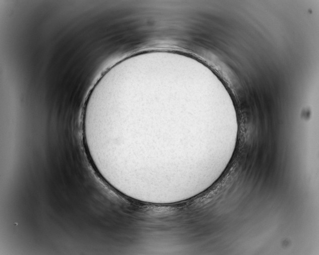 X0000103901382200810101235