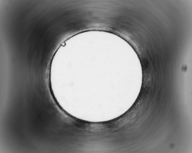 X0000103901383200810101235